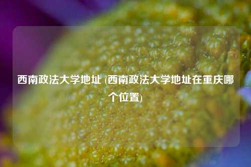 西南政法大学地址 (西南政法大学地址在重庆哪个位置)