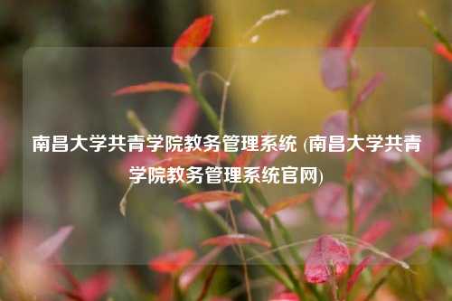 南昌大学共青学院教务管理系统 (南昌大学共青学院教务管理系统官网)