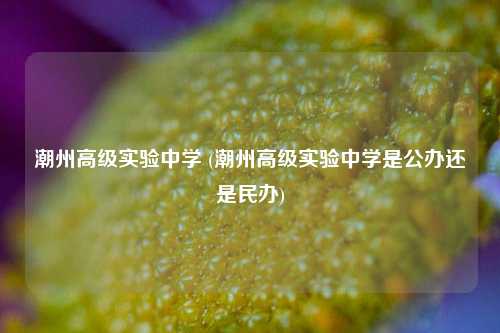 潮州高级实验中学 (潮州高级实验中学是公办还是民办)