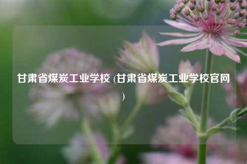 甘肃省煤炭工业学校 (甘肃省煤炭工业学校官网)