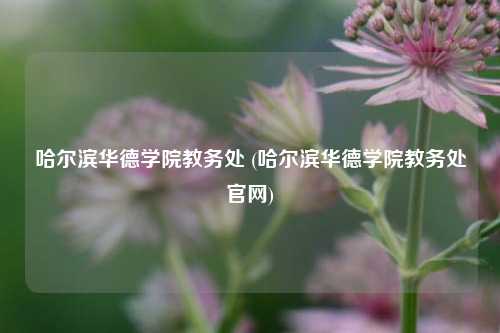 哈尔滨华德学院教务处 (哈尔滨华德学院教务处官网)