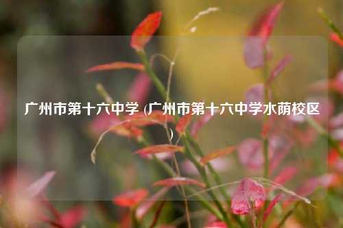 广州市第十六中学 (广州市第十六中学水荫校区)
