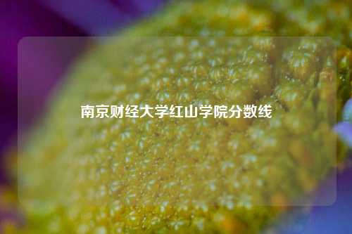 南京财经大学红山学院分数线
