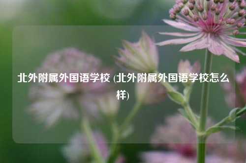 北外附属外国语学校 (北外附属外国语学校怎么样)
