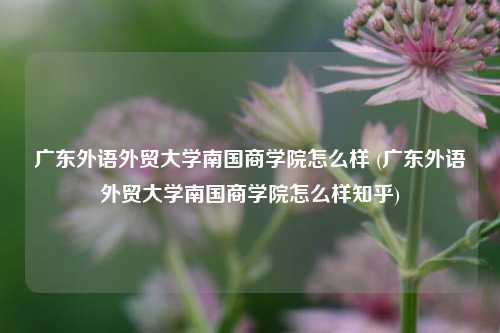 广东外语外贸大学南国商学院怎么样 (广东外语外贸大学南国商学院怎么样知乎)