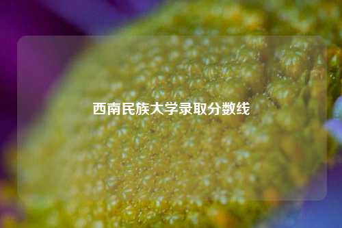 西南民族大学录取分数线