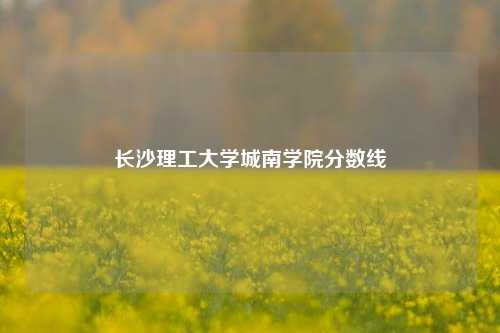 长沙理工大学城南学院分数线