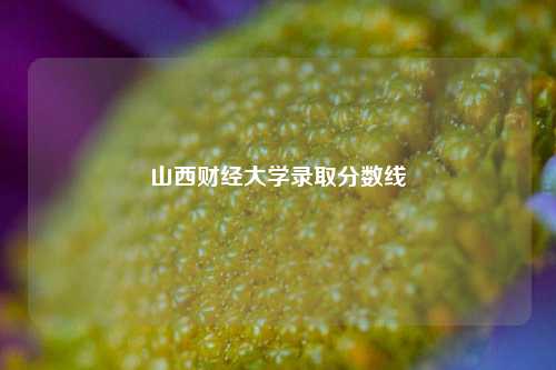 山西财经大学录取分数线