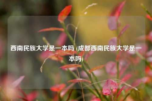 西南民族大学是一本吗 (成都西南民族大学是一本吗)