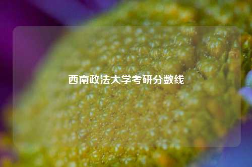 西南政法大学考研分数线