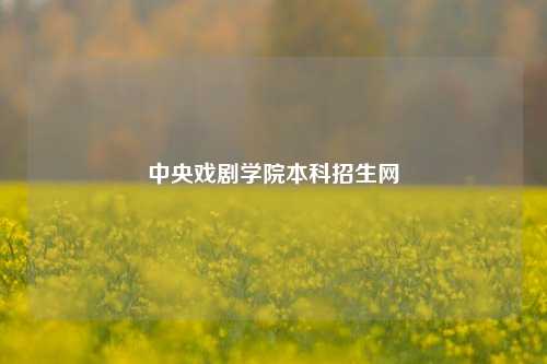中央戏剧学院本科招生网