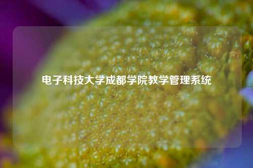 电子科技大学成都学院教学管理系统