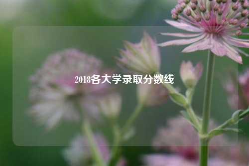 2018各大学录取分数线