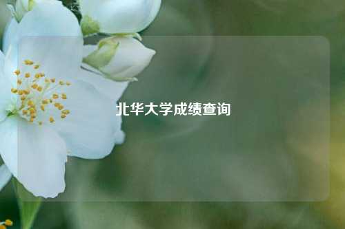 北华大学成绩查询