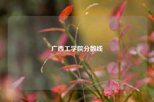广西工学院分数线
