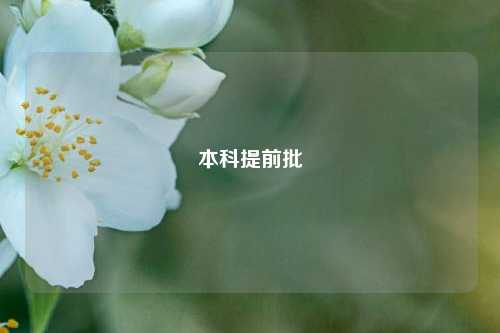 本科提前批
