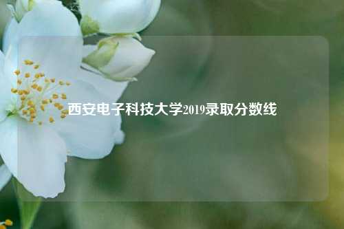 西安电子科技大学2019录取分数线