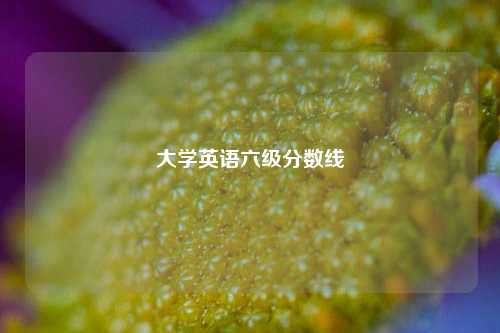 大学英语六级分数线