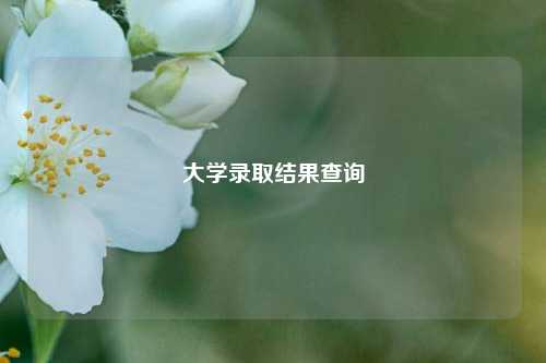大学录取结果查询