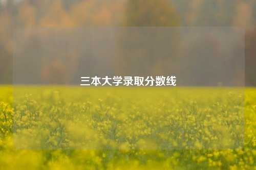 三本大学录取分数线