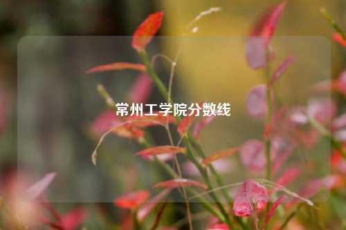 常州工学院分数线