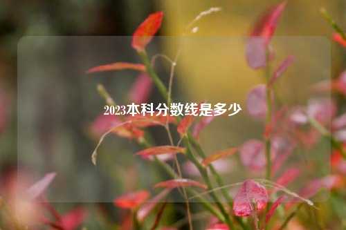 2023本科分数线是多少