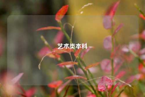 艺术类本科
