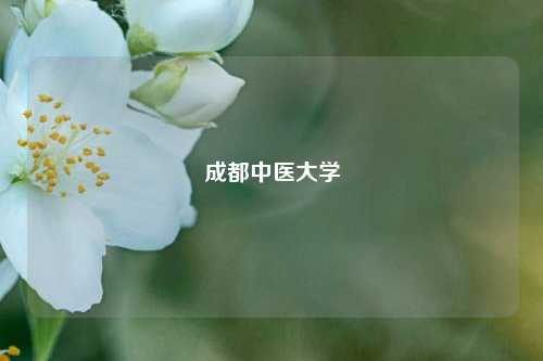 成都中医大学