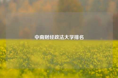 中南财经政法大学排名