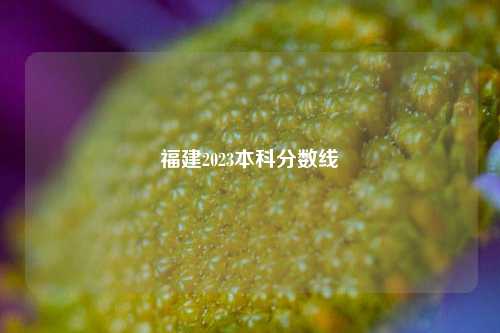 福建2023本科分数线