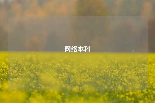 网络本科