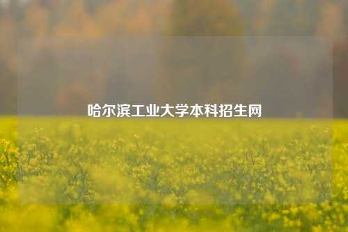 哈尔滨工业大学本科招生网