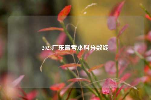 2023广东高考本科分数线