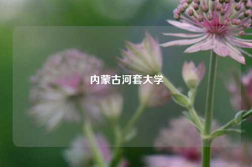 内蒙古河套大学