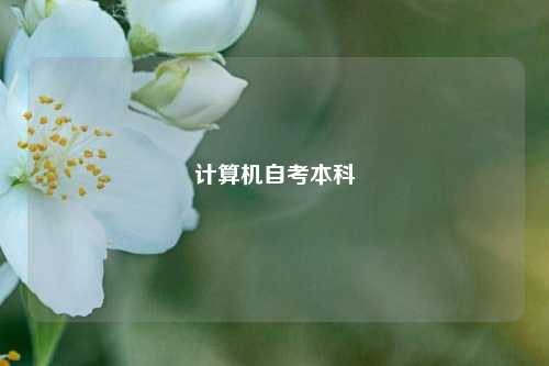 计算机自考本科