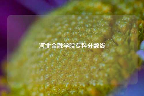 河北金融学院专科分数线