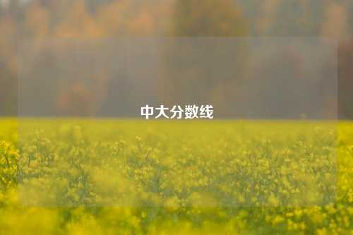 中大分数线