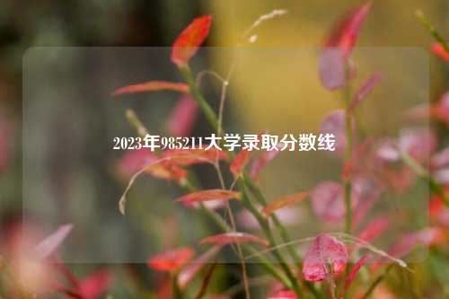 2023年985211大学录取分数线