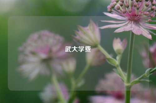武大学费