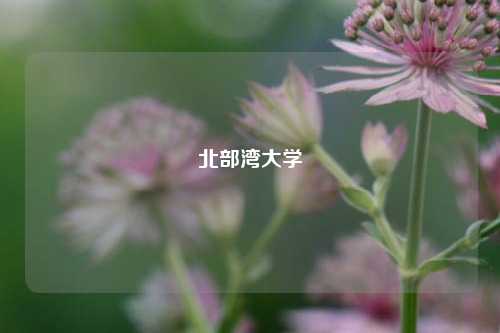 北部湾大学