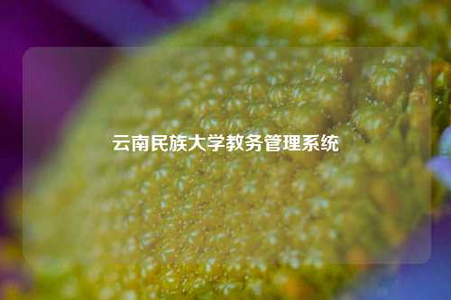 云南民族大学教务管理系统
