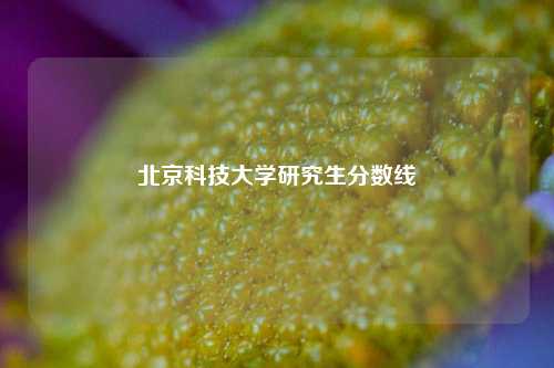 北京科技大学研究生分数线