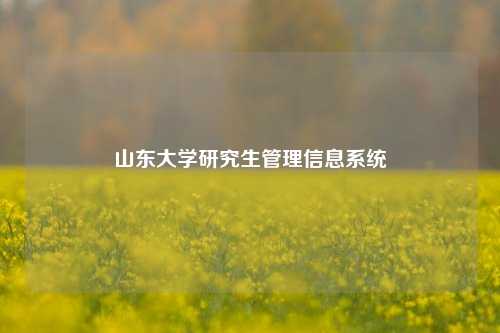 山东大学研究生管理信息系统