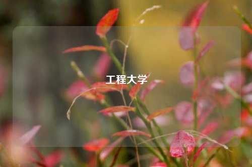 工程大学