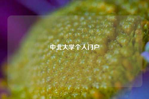 中北大学个人门户