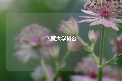 传媒大学排名