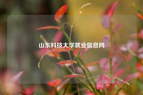 山东科技大学就业信息网