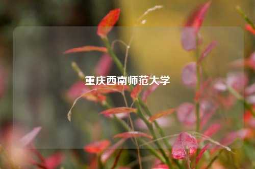 重庆西南师范大学