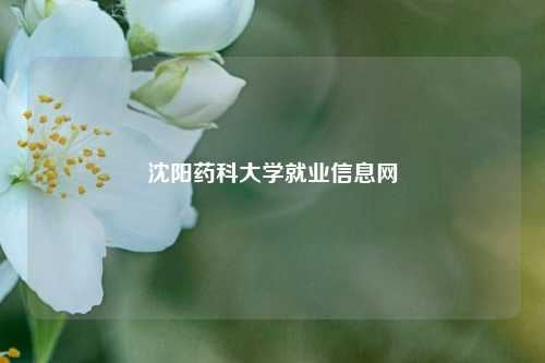 沈阳药科大学就业信息网