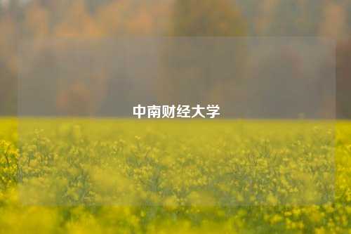 中南财经大学